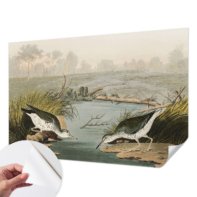 Fototapet autoadeziv pentru living cu ilustrație botanică