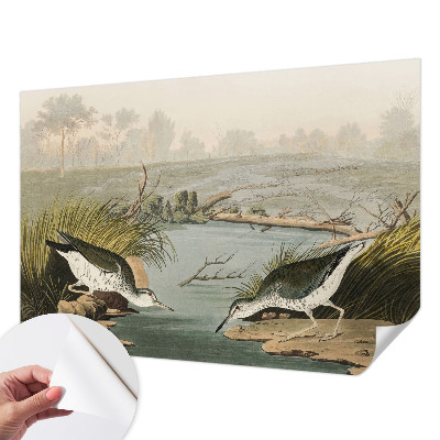 Fototapet autoadeziv pentru living cu ilustrație botanică