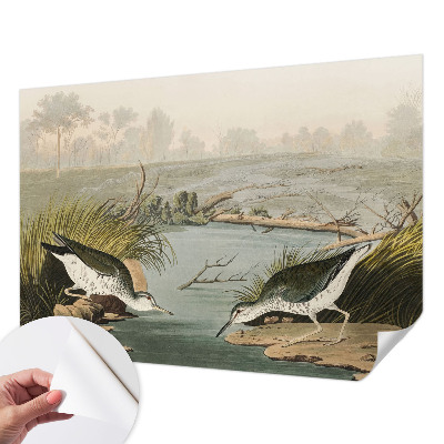 Fototapet autoadeziv pentru living cu ilustrație botanică