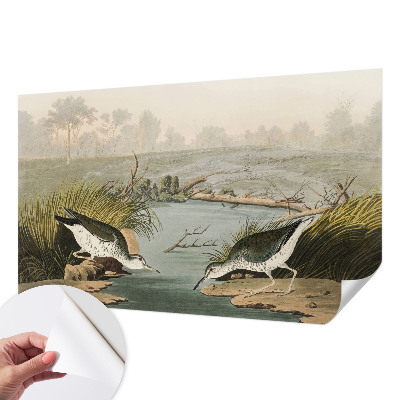 Fototapet autoadeziv pentru living cu ilustrație botanică
