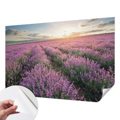 Fototapet 3D pentru living cu peisaje urbane