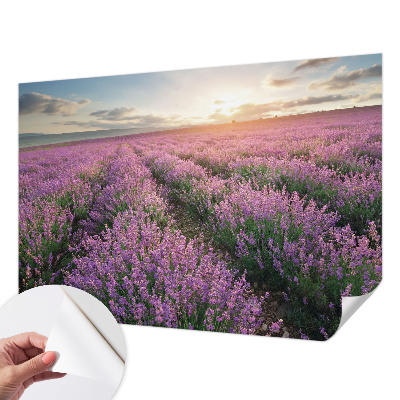 Fototapet 3D pentru living cu peisaje urbane