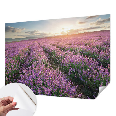 Fototapet 3D pentru living cu peisaje urbane