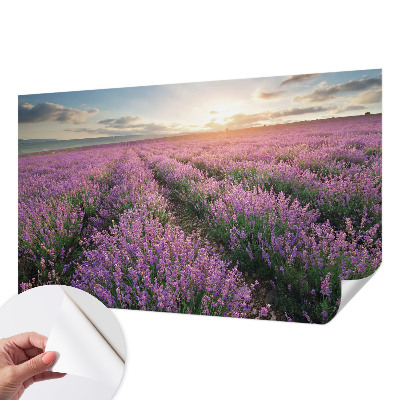 Fototapet 3D pentru living cu peisaje urbane