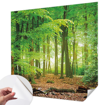 Fototapet autoadeziv pentru living cu un motiv abstract în nuanțe dinamice