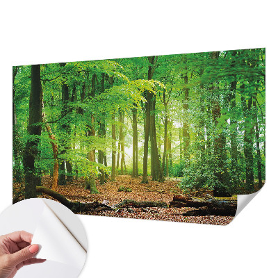 Fototapet autoadeziv pentru living cu un motiv abstract în nuanțe dinamice