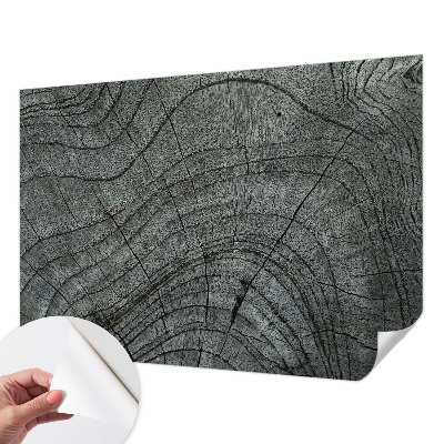 Fototapet autoadeziv pentru dormitor cu motiv abstract „Accidente vasculare cerebrale”