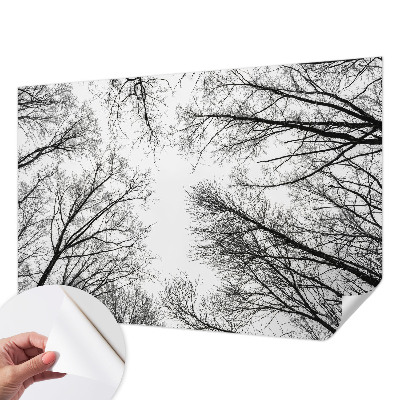 Fototapet autoadeziv pentru living Tușe colorate