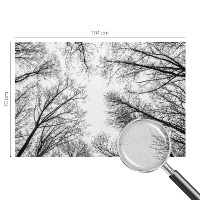 Fototapet autoadeziv pentru living cu tușe colorate
