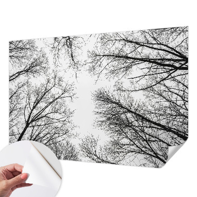 Fototapet autoadeziv pentru living cu tușe colorate