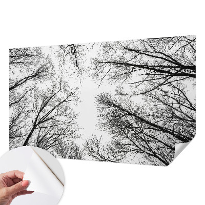 Fototapet autoadeziv pentru living cu tușe colorate