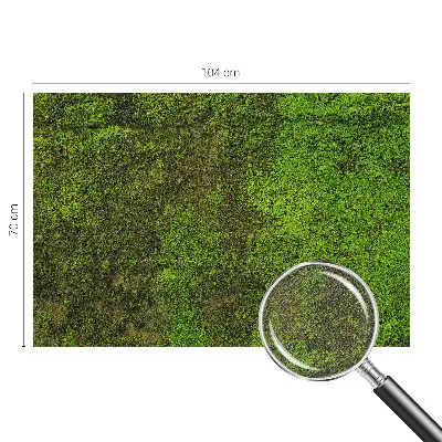 Nazwa produktu Panorama orașului