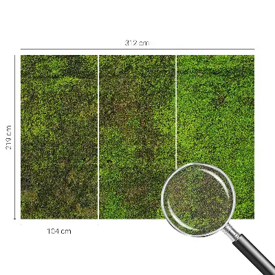 Nazwa produktu Panorama orașului