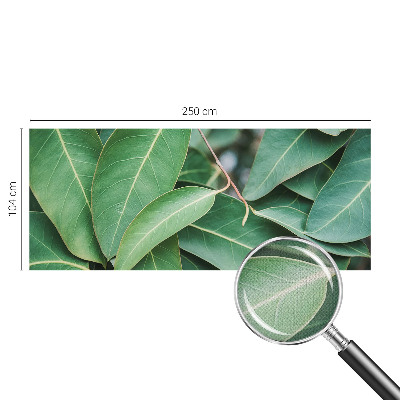 Fototapet autoadeziv Flori insecte