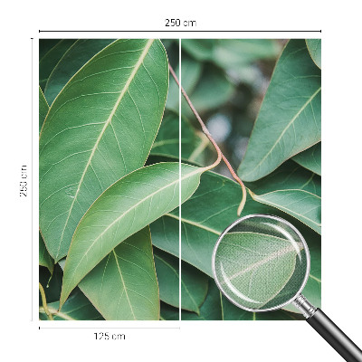 Fototapet autoadeziv Flori insecte