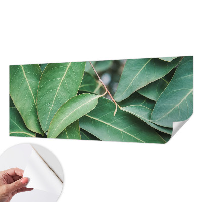 Fototapet autoadeziv Flori insecte