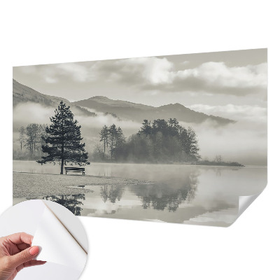 Fototapet 3d pentru dormitor Ciuperci botanice