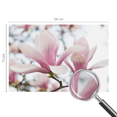 Fototapet autoadeziv pentru camera copiilor Gravuri cu ciuperci