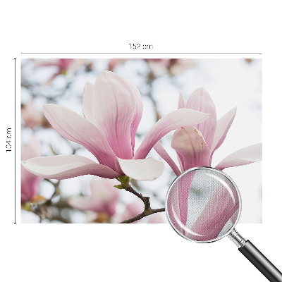 Fototapet autoadeziv pentru camera copiilor Gravuri cu ciuperci