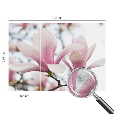 Fototapet autoadeziv pentru camera copiilor Gravuri cu ciuperci