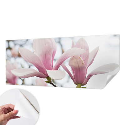 Fototapet autoadeziv pentru camera copiilor Gravuri cu ciuperci
