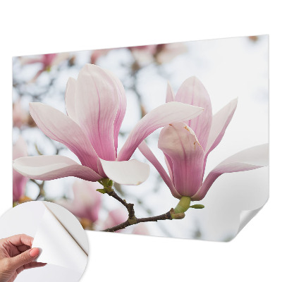 Fototapet autoadeziv pentru camera copiilor Gravuri cu ciuperci