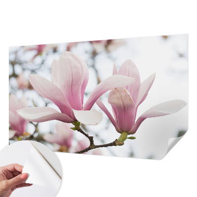 Fototapet autoadeziv pentru camera copiilor Gravuri cu ciuperci