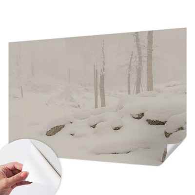 Fototapet autoadeziv pentru dormitor Natură exotică