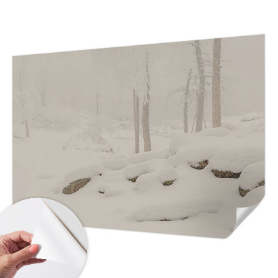 Fototapet autoadeziv pentru dormitor Natură exotică
