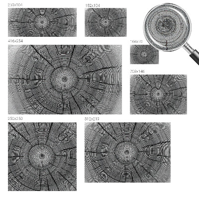 Fototapet 3d cu motiv de refugiu tropical