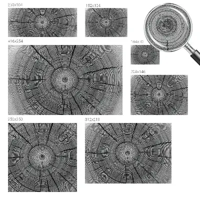 Fototapet 3d Refugiu tropical