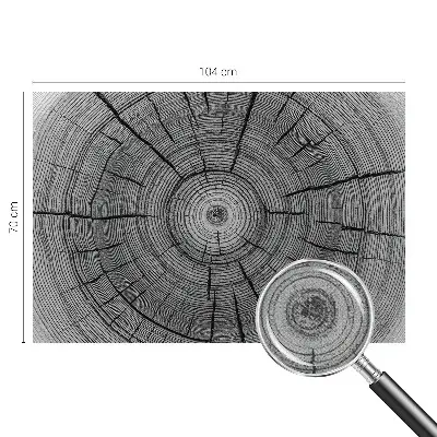 Fototapet 3d Refugiu tropical