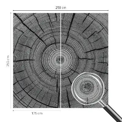 Fototapet 3d Refugiu tropical