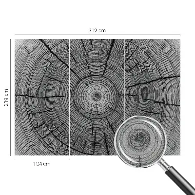 Fototapet 3d Refugiu tropical