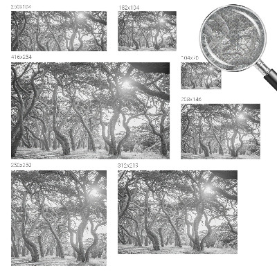 Tapet foto autoadeziv cu motiv abstract de copac