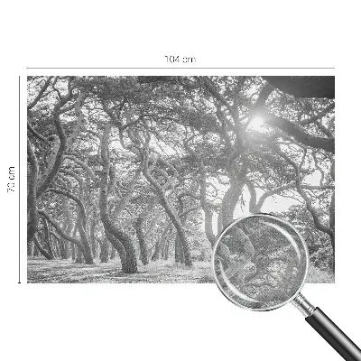 Tapet foto autoadeziv Abstracție de copac