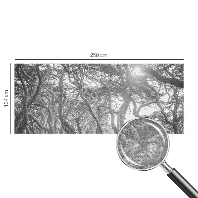 Tapet foto autoadeziv Abstracție de copac