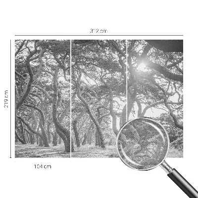 Tapet foto autoadeziv Abstracție de copac