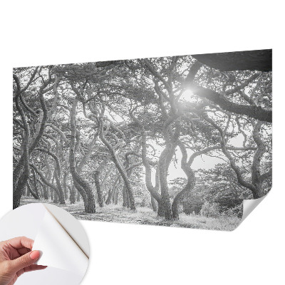 Tapet foto autoadeziv cu motiv abstract de copac