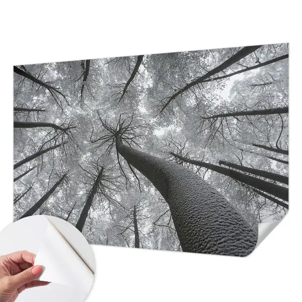 Fototapet 3d pentru dormitor Dungi abstracte