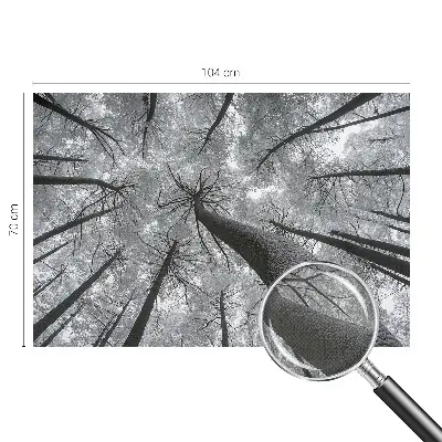 Fototapet 3d pentru dormitor Dungi abstracte