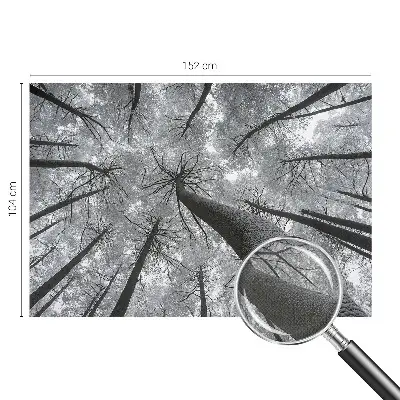Fototapet 3d pentru dormitor Dungi abstracte