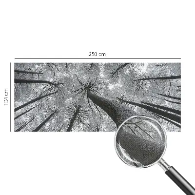 Fototapet 3d pentru dormitor Dungi abstracte