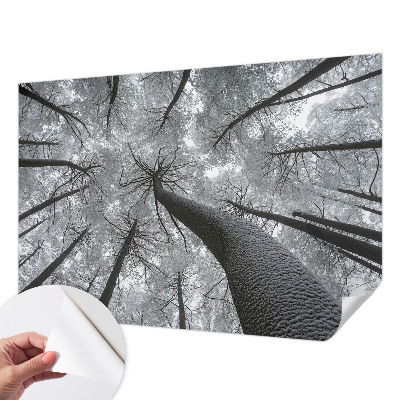 Fototapet 3D pentru dormitor cu dungi abstracte