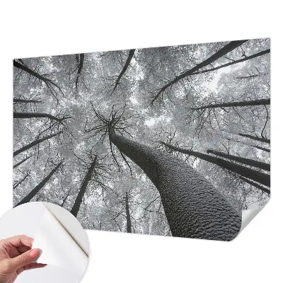 Fototapet 3d pentru dormitor Dungi abstracte
