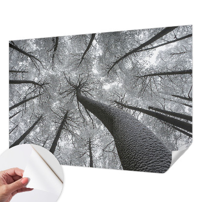 Fototapet 3D pentru dormitor cu dungi abstracte