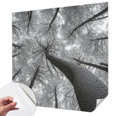 Fototapet 3d pentru dormitor Dungi abstracte