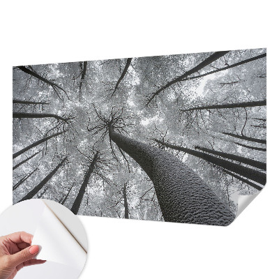 Fototapet 3D pentru dormitor cu dungi abstracte