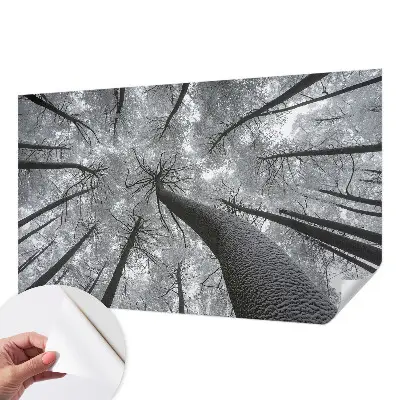 Fototapet 3d pentru dormitor Dungi abstracte