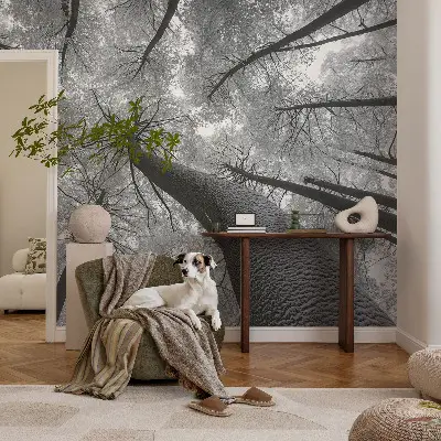 Fototapet 3d pentru dormitor Dungi abstracte
